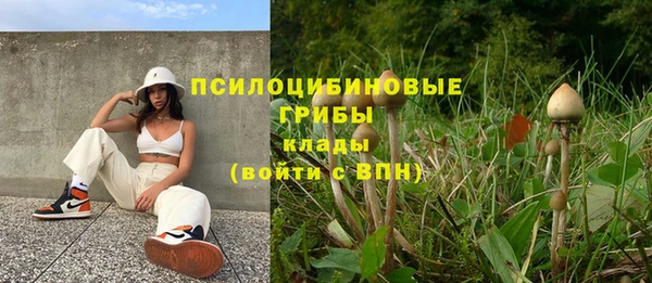 гашик Баксан