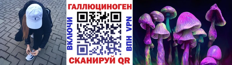 Купить  Саяногорск  Псилоцибиновые грибы GOLDEN TEACHER 